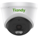 TIANDY в Санкт-Петербурге
