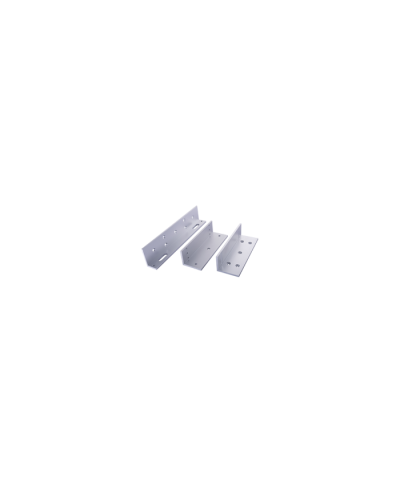 ALZL-500. Крепление для установки замка ALEM-500. Alarmico в Санкт-Петербурге