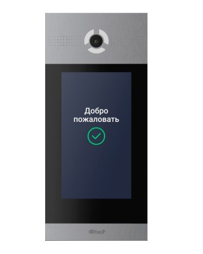 AA-14FBIS SILVER. Вызывная панель IP-домофона. BAS-IP в Санкт-Петербурге