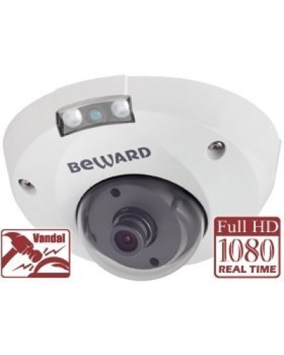 NK55630D8. IP-камера купольная. Beward в Санкт-Петербурге