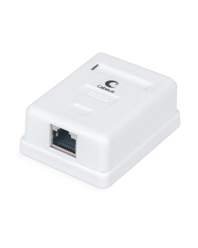 WS-8P8C-Cat.5e-SH-1 (7485c): Розетка RJ-45 в Санкт-Петербурге