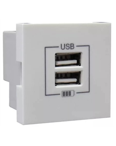 Розетка USB двойная, зарядная, белая (45439 SBR): Розетка USB двойная в Санкт-Петербурге