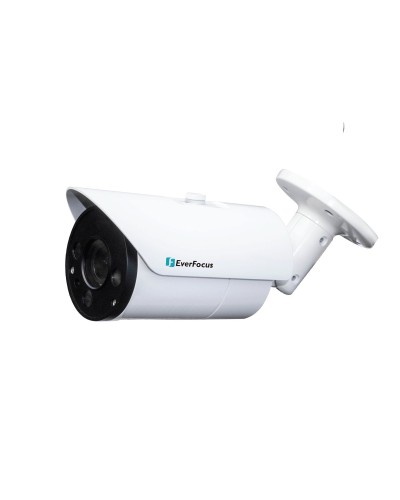 EZN-268V. Видеокамера IP купольная. EverFocus в Санкт-Петербурге