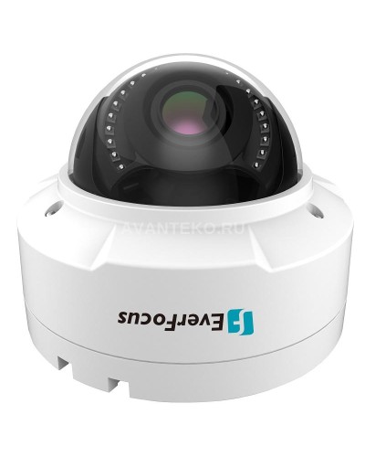 EHN-1250. Видеокамера IP купольная. EverFocus в Санкт-Петербурге