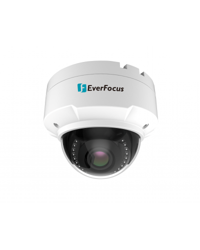 EHN-2550. Видеокамера IP купольная. EverFocus в Санкт-Петербурге