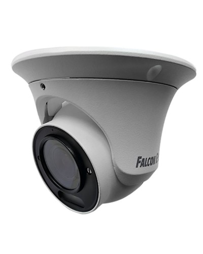 FE-IPC-DV5-40pa. Видеокамера IP купольная. Falcon EYE в Санкт-Петербурге