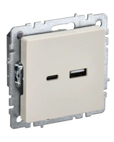 Розетка USB A+C 18Вт РЮ11-1-БрКр бежевый BRITE (BR-U22-018-K10). Розетка USB. IEK в Санкт-Петербурге