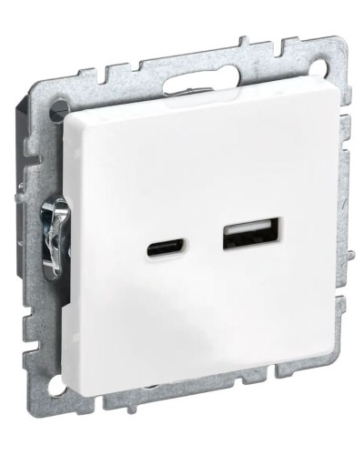 Розетка USB A+C 18Вт РЮ11-1-БрБ белый BRITE (BR-U22-018-K01). Розетка USB. IEK в Санкт-Петербурге