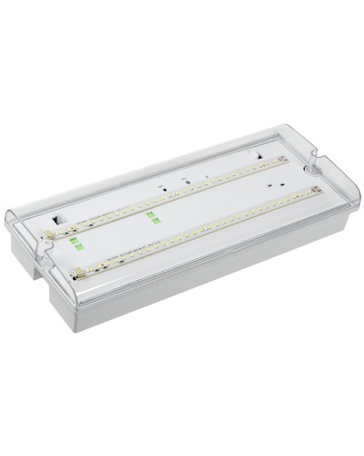 Светильник аварийный ДПА 5042-1 1ч IP65 LIGHTING (LDPA0-5042-1-65-K01). Светильник аварийный универсальный. IEK в Санкт-Петербурге