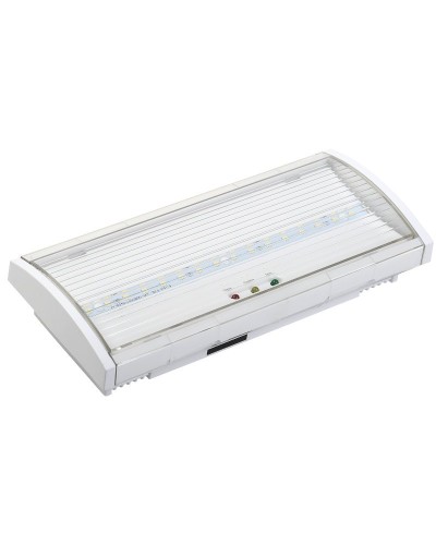Светильник аварийный ДПА 5043-3 10-24/220В 3ч IP54 LIGHTING (LDPA1-5040-3-54-K01). Светильник аварийный постоянного действия. IEK в Санкт-Петербурге