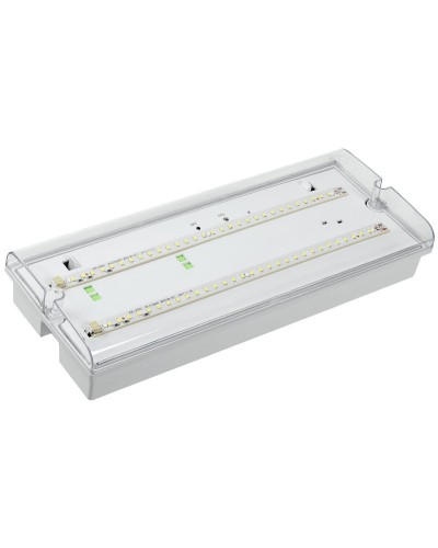Светильник аварийный ДПА 5042-3 3ч IP65 LIGHTING (LDPA0-5042-3-65-K01). Светильник аварийный универсальный. IEK в Санкт-Петербурге