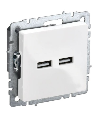 Розетка USB A+A 3,1А РЮ10-1-БрБ белый BRITE (BR-U21-D31-K01). Розетка USB. IEK в Санкт-Петербурге