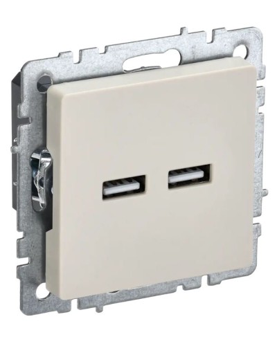Розетка USB A+A 3,1А РЮ10-1-БрКр бежевый BRITE (BR-U21-D31-K10). Розетка USB. IEK в Санкт-Петербурге