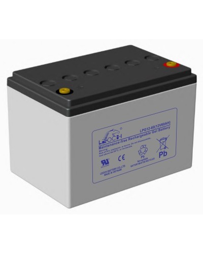 LEOCH LPG 12-60. Аккумулятор герметичный свинцово-кислотный. LEOCH в Санкт-Петербурге