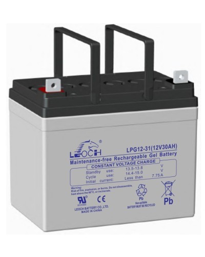 LEOCH LPG 12-31. Аккумулятор герметичный свинцово-кислотный. LEOCH в Санкт-Петербурге