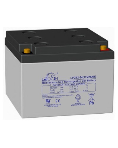 LEOCH LPG 12-24. Аккумулятор герметичный свинцово-кислотный. LEOCH в Санкт-Петербурге