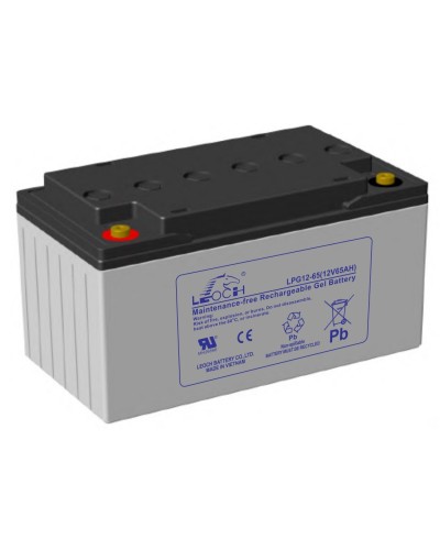LEOCH LPG 12-65. Аккумулятор герметичный свинцово-кислотный. LEOCH в Санкт-Петербурге