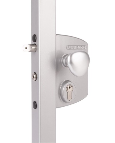 LIKQ4040 U2L (цвет: RAL 9005, черный). Замок электромеханический для калиток. Locinox в Санкт-Петербурге