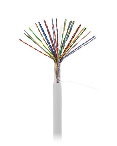 U/UTP 25pair, Cat5, In, PVC (EC-UU025-5-PVC-GY-3). Кабель «витая пара» (LAN) для структурированных систем связи. NETLAN в Санкт-Петербурге
