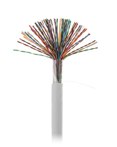 U/UTP 50pair, Cat5, In, PVC (EC-UU050-5-PVC-GY-3). Кабель «витая пара» (LAN) для структурированных систем связи. NETLAN в Санкт-Петербурге
