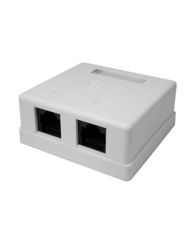 Розетка настенная RJ-45, 8P8C, Cat.6, 2 порта UTP (10-0310): Компьютерная розетка в Санкт-Петербурге