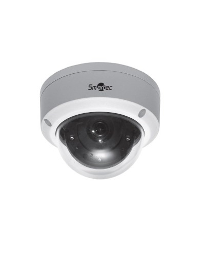 STC-IPMA5520A/1. Видеокамера IP купольная. Smartec в Санкт-Петербурге