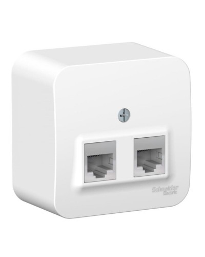 BLANCA розетка RJ11+RJ45, 2-местная, кат. 5Е, открытой установки, белый (BLNIA045111). Розетка компьютерная + телефонная с изолированной пластиной. Systeme Electric в Санкт-Петербурге