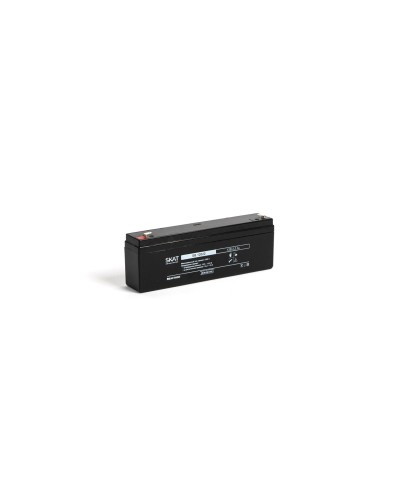 SKAT SB 12022 (2539). Аккумулятор герметичный свинцово-кислотный. Бастион в Санкт-Петербурге