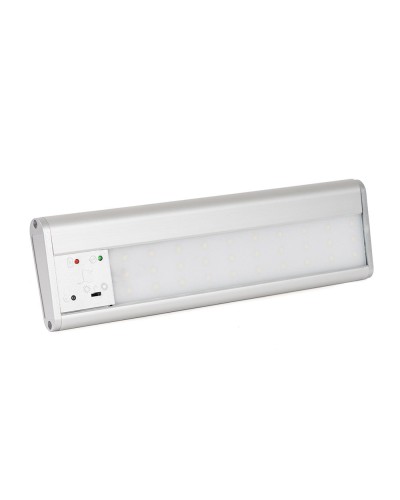 SKAT LT-2330-LED-Li-lon (2450). Светильник аварийного освещения. Бастион в Санкт-Петербурге