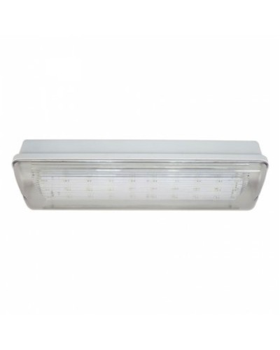 SL-223-30LED1.8 исп.1 IP54. Светильник аварийного освещения. ИП Раченков А.В. в Санкт-Петербурге