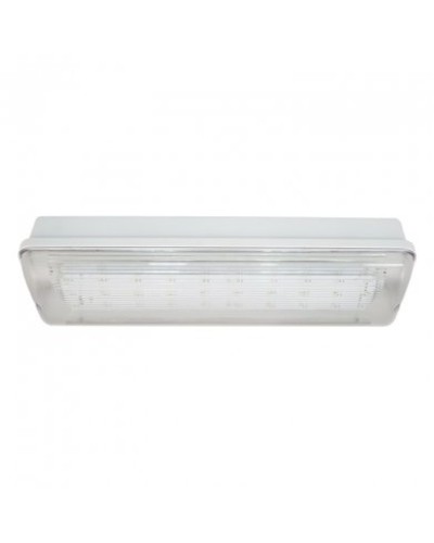 SL-223-30LED1.8 исп. 1, IP65. Светильник аварийного освещения. ИП Раченков А.В. в Санкт-Петербурге