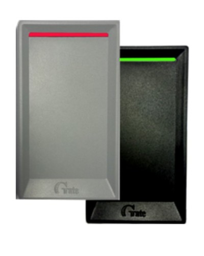 Gate-Reader-EH. Считыватель. Равелин в Санкт-Петербурге