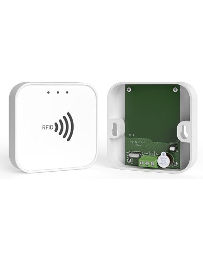 RFID-TM. Считыватель RFID. Ритм в Санкт-Петербурге