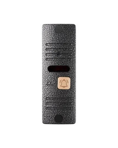 CTV-D10 Plus S (серебро). Вызывная панель цветная. CTV в Санкт-Петербурге