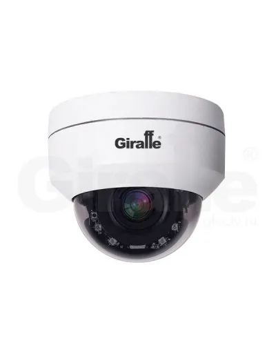 GF-DIRZ04HD2.0. Видеокамера мультиформатная поворотная . Giraffe в Санкт-Петербурге
