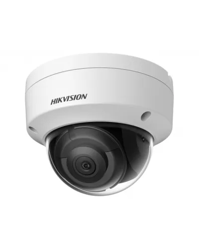 DS-2CD2123G2-IS(2.8мм)(D). Профессиональная видеокамера IP купольная. Hikvision в Санкт-Петербурге