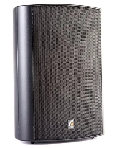 MS-40TB (ROXTON). Звуковая настенная колонка. ROXTON в Санкт-Петербурге