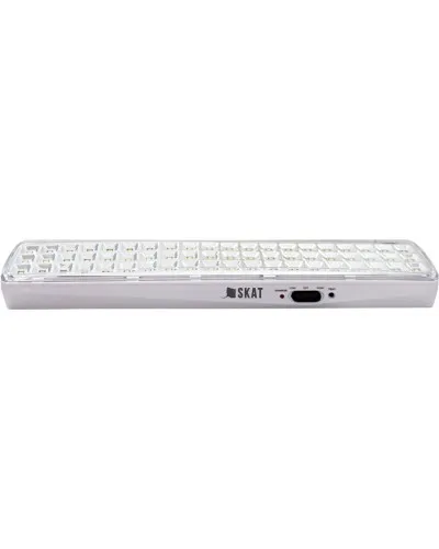SKAT LT-602400 LED Li-ion (2459). Светильник аварийного освещения. Бастион в Санкт-Петербурге