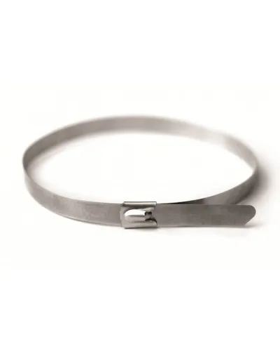 Хомут из нержавеющей стали AISI 304 4,6х300 (50 шт) (27406): Хомут из нержавеющей стали в Санкт-Петербурге
