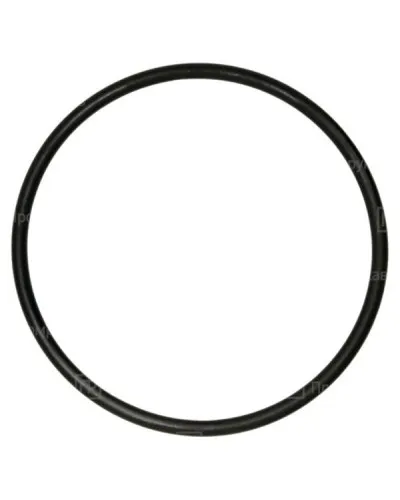 Кольцо резиновое уплотнительное для двустенной трубы D125 (PR08.3160). Кольцо резиновое уплотнительное для двустенной трубы. Промрукав в Санкт-Петербурге