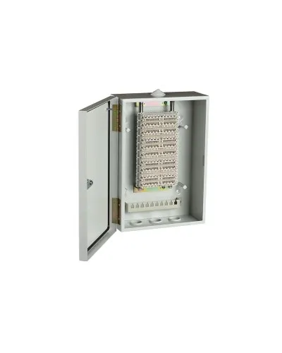 ШРН-В/100-Р (120908-00122). Шкаф ШРН-В/100-Р, плинт ПВТ-10Р-5е. ССД (Связьстройдеталь) в Санкт-Петербурге